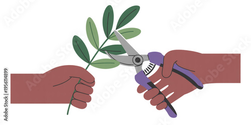 A pair of hands holding a green plant stem while using professional pruning shears for gardening Vector