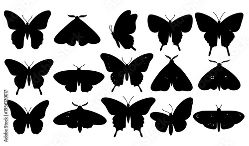 Abstract Butterflies and Moths Vector Collection – Modern Decorative Design