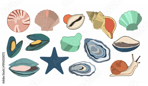 Sea Shells Vector Set – Starfish, Mollusks, and Ocean Shell Collection