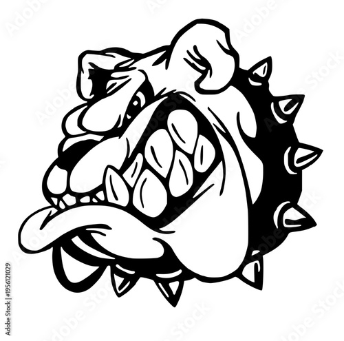 Angry bulldog head with spiked collar