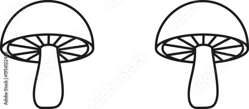 Two mushrooms side by side simple line drawing illustration Vector