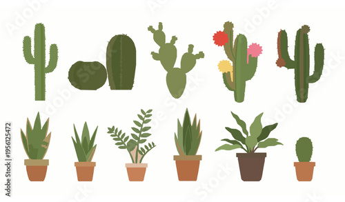 Desert and Tropical Cactus Collection Vector Illustration Potted and Flowering Plants