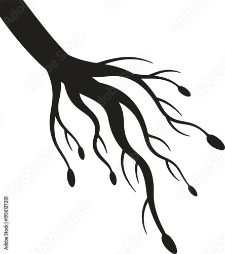 Dynamic black and white ink splashes form a floral silhouette of a woman with swirling hair and a tribal dragon tattoo, creating a vector art illustration of a horse and bird in nature