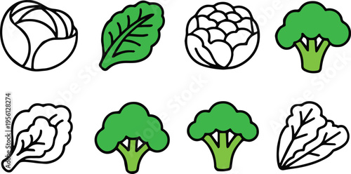 vegetable botanical sketches cabbage broccoli cauliflower leafy greens