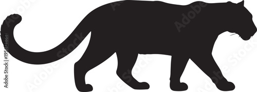 Black panther silhouette vector