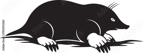 Vector badger illustration in black and white