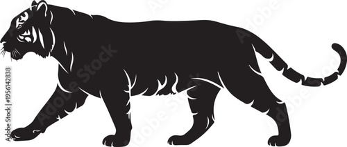 Black tiger vector illustration