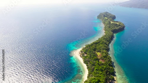 Aerial view of sandy beach on a tropical Big Liguid Island with palm trees. Big Cruz Island, Philippines, Samal.