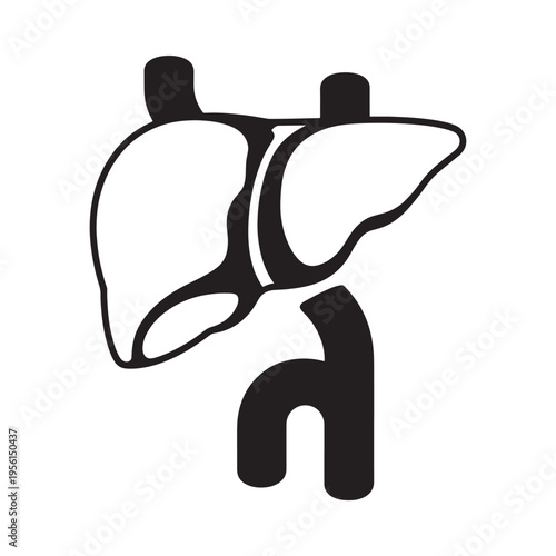 A simple black and white illustration of a human liver and gallbladder