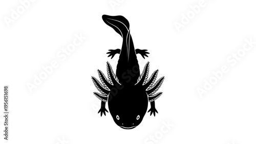 Stylized black and white illustration of an axolotl, a unique aquatic salamander, seen from a top-down perspective, ideal for minimalist designs