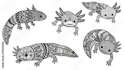 Intricate Monochrome Axolotl Illustrations with Decorative Patterns and Stylized Designs, a Unique Animal Art Collection