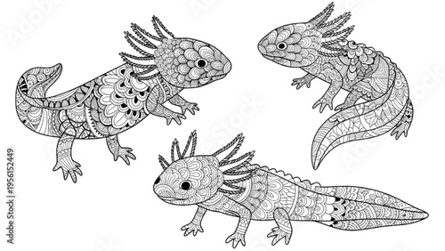 Intricate Axolotl Illustrations Featuring Detailed Zentangle Patterns for Creative Coloring and Relaxation