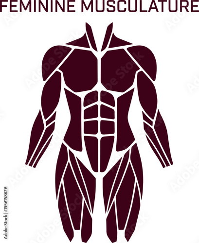 Feminine Musculature Icon