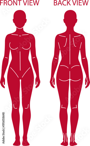 Human Body Anatomy Diagram Front and Back View Red Silhouette