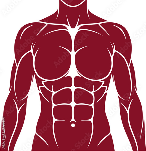 Muscular Male Torso Silhouette Icon
