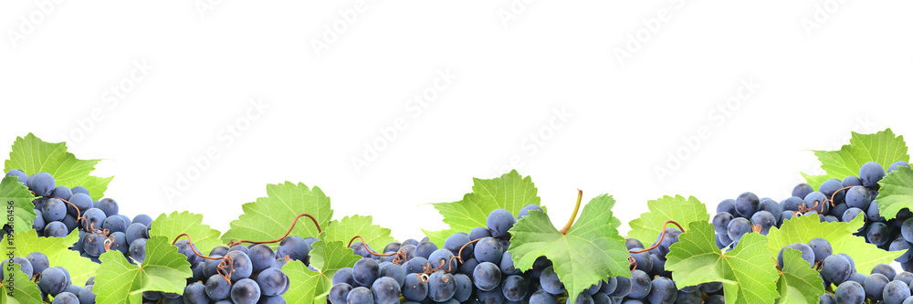 Obraz premium Grape fruit isolated