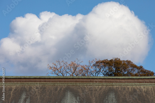 일본 겨울 여행 이야기