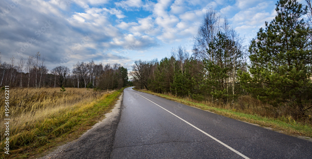 Obraz premium Lonely asphalt road curves gently through fall woods