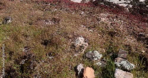 Roman archaeological remains with stones and pottery fragments in Los Barruecos.