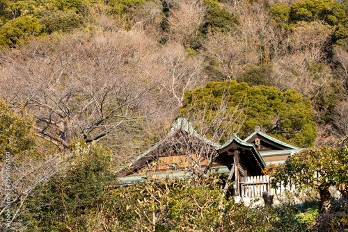 일본 겨울 여행 이야기