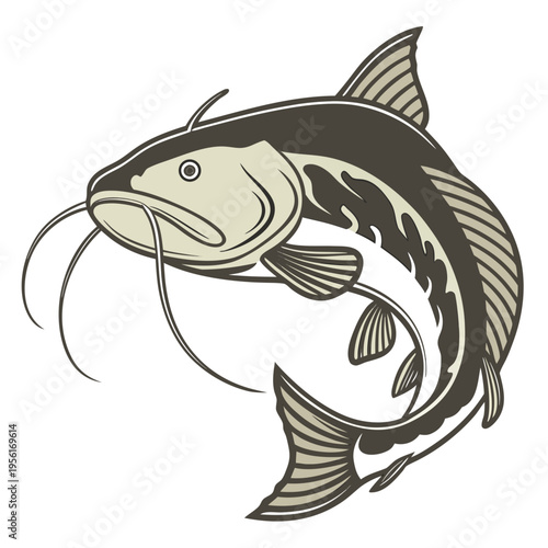 Vector catfish illustration in brown and beige tones