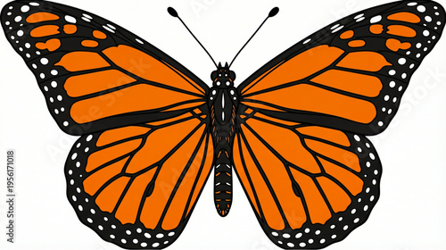 Monarch Butterfly Illustration, Detailed Orange and Black Wing Pattern Doodle Vector