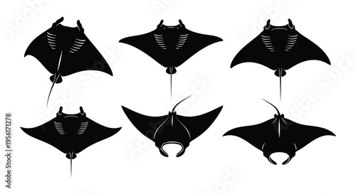 Black silhouettes of manta rays in various swimming positions