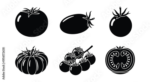 A collection of black and white tomato illustrations in various forms