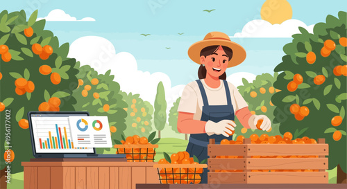 Farmer harvesting oranges with digital analytics.