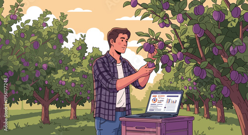 Man Inspecting Plum Tree with Laptop in Orchard.
