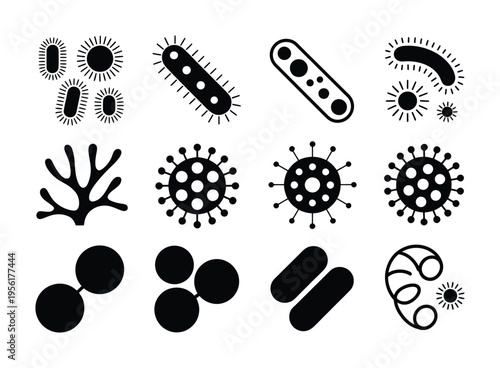 Collection of Black and White Representing Various Microorganisms and Cells