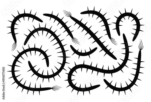 Abstract Black Spiky Wavy Lines with Tassels on White Background