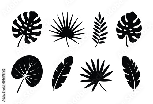 Collection of Black Silhouette Tropical Leaves on White Background