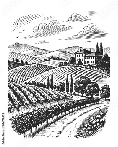 Vintage vineyard landscape vector illustration in black and white. Hand drawn rural countryside with rolling hills, farmhouse, cypress trees, fields and road in engraved retro style.