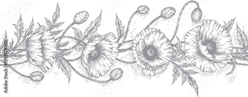 Sketchy border of poppy flowers and foliage, hand-drawn botanical illustration for elegant invitations and design, floral sketch