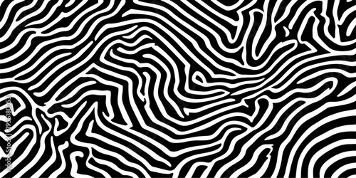 Seamless black and white zebra skin texture featuring geometric lines and floral ornament curves for a vector animal print wallpaper design