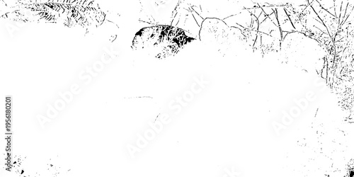 Grunge overlay vector grainy stain textures. Abstract noise texture overlay distressed texture background. Subtle halftone grunge urban texture vector. Scratch rustic surface effect paint splat.