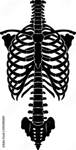 A diverse collection of twelve graphic design elements including books apple leaf keys bicycle butte.eps	A diverse collection of twelve graphic design elements including books apple leaf keys bicycle 