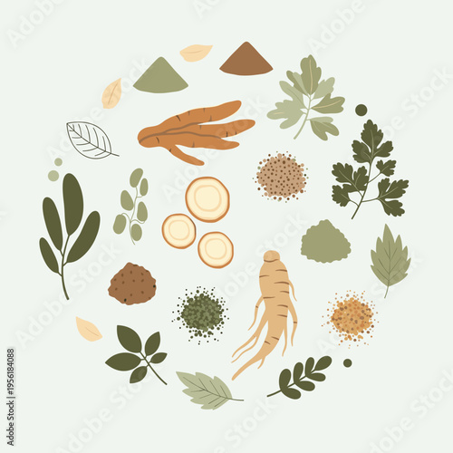 Adaptogenic herbs and natural plant ingredients for cortisol balance and stress relief arranged in modern botanical flat vector composition