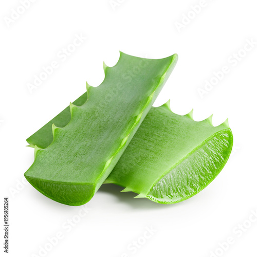 Aloe vera isolated on white background. Clipping path