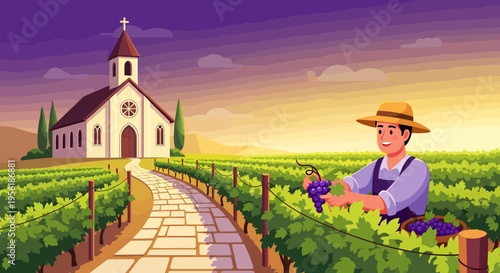 Farmer harvesting grapes in vineyard at sunset.