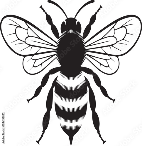A detailed black and white silhouette illustration of a honey bee with wings fully spread open