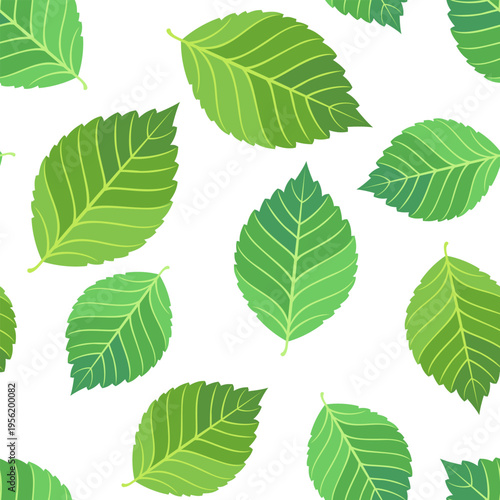 Seamless pattern of green elm leaves isolated on white background. Vector cartoon flat illustration.