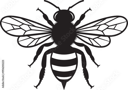 A detailed black silhouette of a honey bee with wings extended isolated on a white background