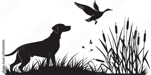 Black Vector Silhouette of a Labrador Retriever Hunting Dog with Flying Duck in Marsh Isolated on White