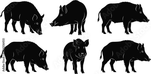 Six wild boar silhouettes in different poses and orientations, black vector animal illustration highlighting stocky body, snout, bristly fur, and distinctive wildlife design concept