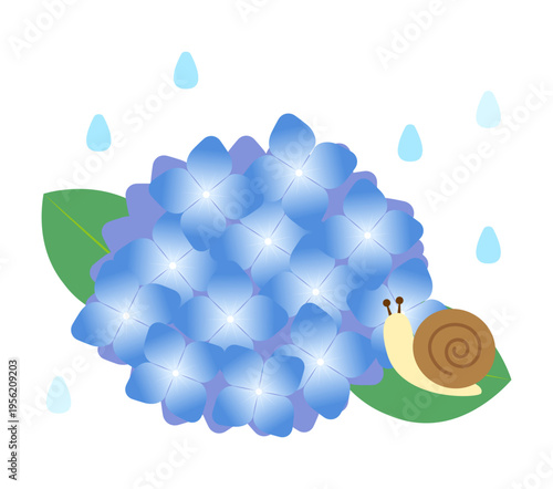 This is an illustration of rain, hydrangeas, and a snail.