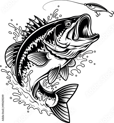 Dynamic Largemouth Bass Jumping to Catch Fishing Lure