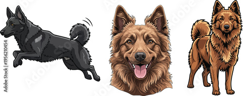 Hungarian Mudi dog jumping smiling headshot standing pose set