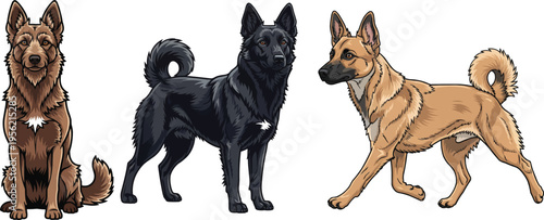 Hungarian Mudi dog sitting standing walking pose set